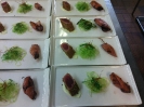 Showcooking_38